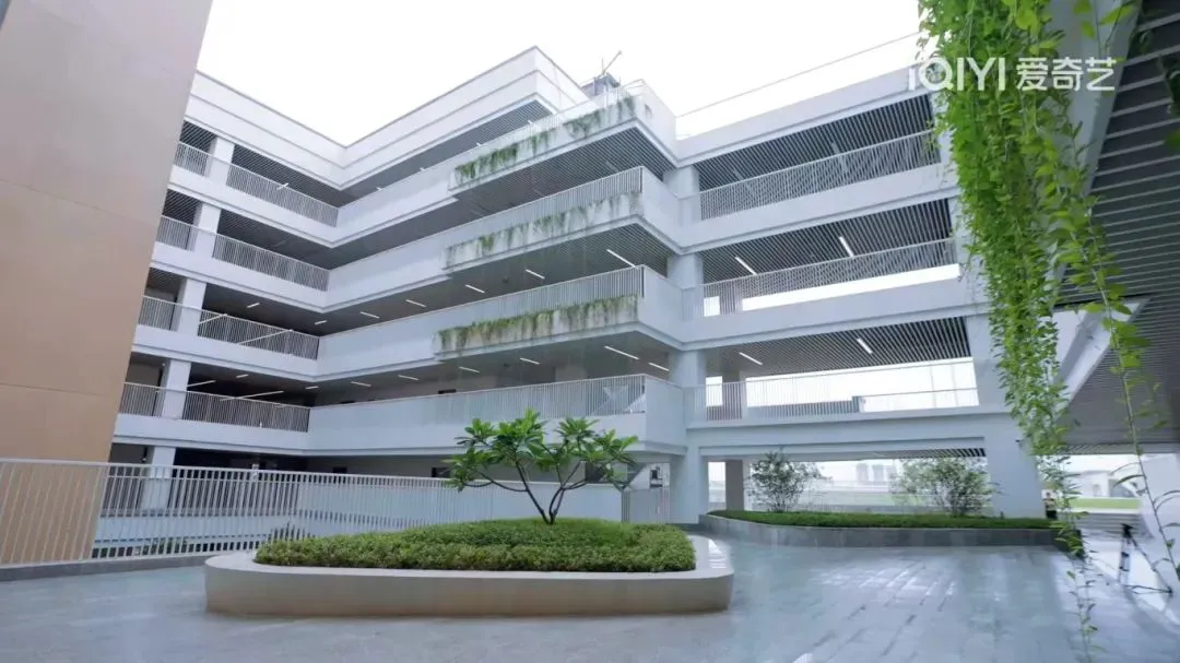 刻苦训练篮球时如何避免受伤的建议_2