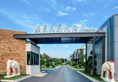 为什么篮球后卫需要特别的体能训练_0