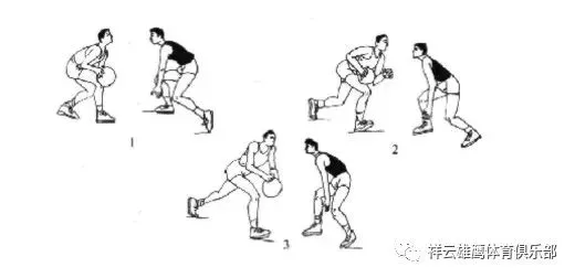 nba一周篮球训练计划怎么写_1