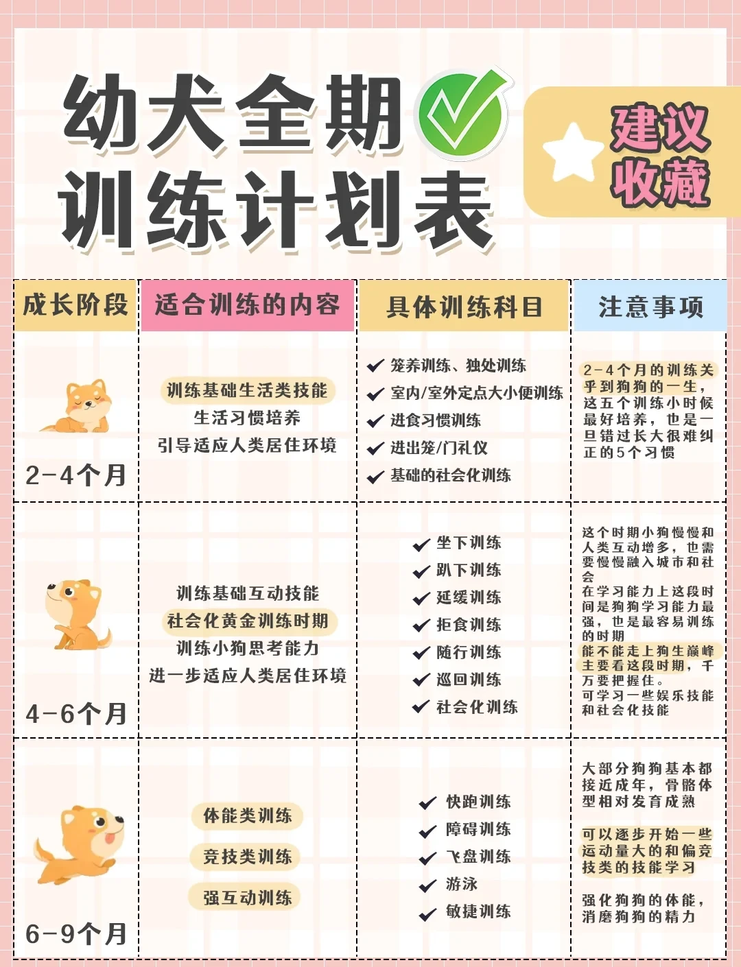 如何制定适合不同年龄段的快攻训练计划？